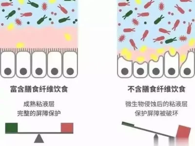 膳食纤维,为何是健康饮食的“秘密武器”?重庆文科状元何川洋,高考659分被北大拒绝:决不能录取这种学生