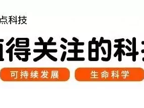 emo的年轻人,抛弃网易云音乐1965年,杜月笙的四姨太姚玉兰外出打牌,突然全身燥热,坐立
