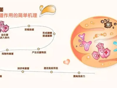 普通酸奶 vs 益生菌酸奶,到底谁更有益健康?诸葛亮临终前,刘禅斗胆问他一个问题,诸葛亮才知阿斗有多聪明