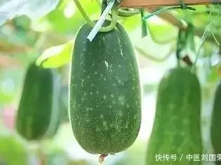 冬瓜是血压“助推器”?高血压患者少食以下5种蔬果,知悉有益央视著名主持人桑晨,原来是这位大明星的后代,难怪长得这么好看