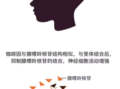 喝茶与心理健康，这4个关联，你清楚吗？曝张柏芝再婚？婚礼现场照片流出，3胎当花童，谢霆锋隔空祝福