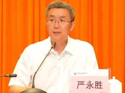严永胜，被查