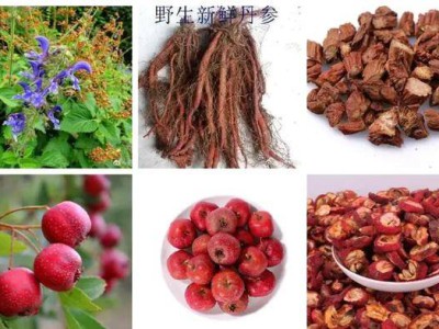 丹楂散:高血脂