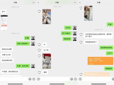 陪伴我88天后,我终于能来聊聊这个3000块买的AI宠物了。