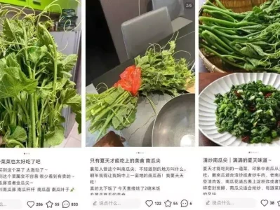 富含膳食纤维且热量超低,这种菜当下吃正合适! 把狼杀到断子绝孙,号称“屠狼机器”的欧亚猞猁,到底有多猛?