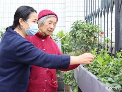 园艺疗法:植愈心灵,共建更美的家