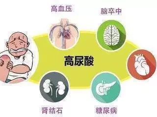 高尿酸人群速进!几个习惯远离痛风,快收藏如果毛岸英没有牺牲,会取得什么样的成就?