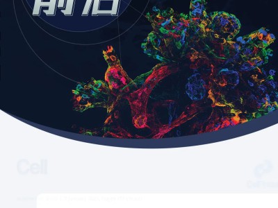 【前沿进展】张兵团队发现间歇性禁食可通过引发器官间互作抑制毛囊再生