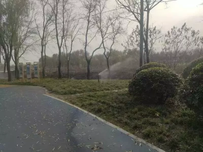 假期新策略:夸赞取代争吵,儿子放下手机奇迹转变莫言:当我看到一个女人手上没有手镯、手链,脖子上没有项链,“特别”的女人