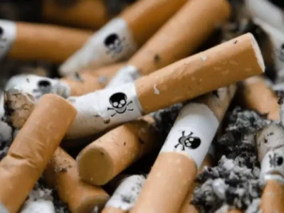 抽烟人群健康焦虑咋破?一文教你应对方法!同样是“百兽之王”,为何有那么多人认为老虎一定比狮子厉害?