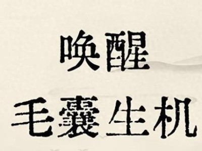 头油脱发!中医:清湿热+补肝肾+通毛囊,1周控油,2月见新发