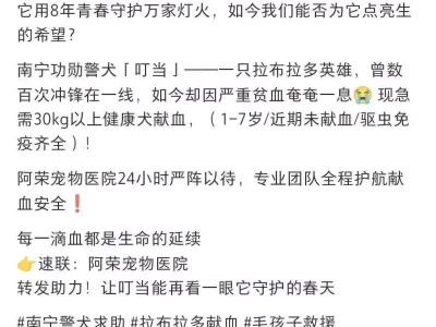 南宁一宠物医院为贫血警犬征集血源，有人带狗狗前来抽血配型