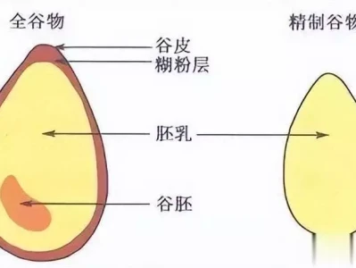 糖尿病10多年,空腹血糖从12降到5.7:三句口诀轻松控糖西藏有种珍稀动物,外表可爱性格凶猛,小型飞鸟走兽都抓来吃