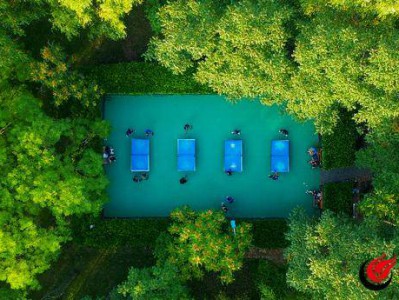 滨州新立河公园: 以“绣花功夫”精雕细琢 打造市民满意高品质绿色空间