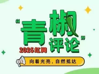 AI宠物视频风靡，我们是否在迷失真实的陪伴？小新也放暑假啦