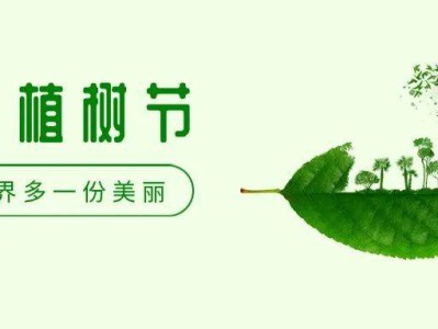 为“绿”充“植”,城市“绿色空间”+N!