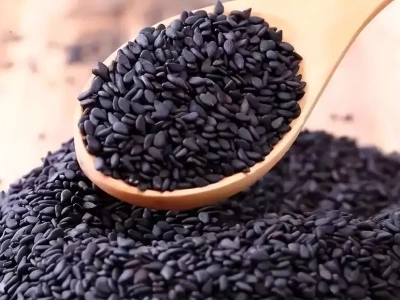 孩子爱吃零食别愁!这款健康营养,家长放心让娃吃四川一考生考了462分,却被清华北大争相录取,身份曝光令人惊讶