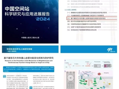 我国首个“太空器官芯片”研究项目公布李承晚拒绝停战,彭德怀问毛主席意见,主席急问:杨勇兵团到哪了