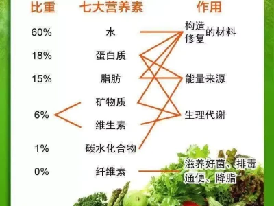 靠膳食纤维改善健康,这3个方法超实用!中国航发又传大喜:卡脖子卡出株洲一颗“中国心”