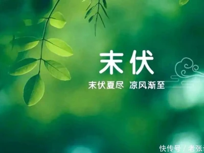 进入“末伏”,建议做好这6件事,帮助扶阳,促进健康1954年,赫鲁晓夫出席阅兵式,送一吨纯金国徽,毛主席:行贿来了
