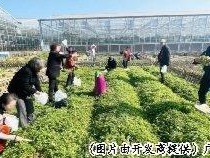 网红“园艺疗法”,带来美好康养生活