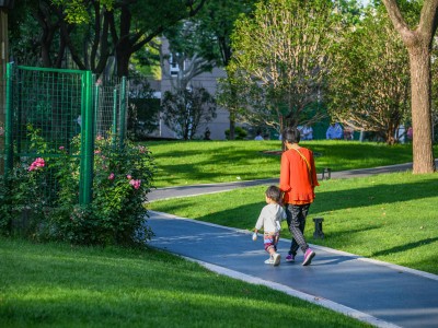 占地约10000㎡！梅陇十一村内的绿色空间已焕新归来
