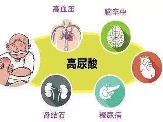 高尿酸人群速进！几个习惯远离痛风，快收藏如果毛岸英没有牺牲，会取得什么样的成就？