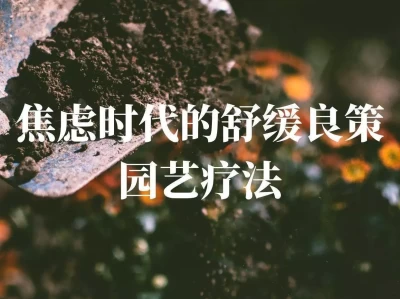 焦虑时代舒缓良方：园艺疗法