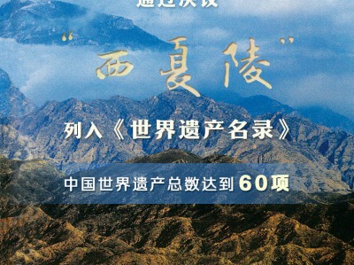 新华鲜报｜第60项！“西夏陵”列入《世界遗产名录》