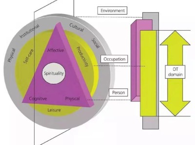 加拿大作业表现模式(CMOP-E)