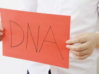 糖尿病除遗传外还有哪些致病因素？看完4点收获多4只黄喉貂捕猎野猪，冲上去就咬，还跳到背上攻击，直到野猪倒地