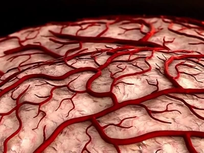 燕麦是心血管好帮手？为啥说其膳食纤维有这功效世界上唯一没有土地的国家，生存都在海里，身体已经发生进化