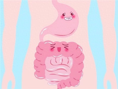 膳食纤维品牌盘点，央视认可的膳食纤维牌子