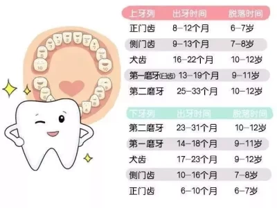 别再忽视！宝宝牙齿护理关乎一生健康，赶紧学起来伊朗越打越猛，21国对以色列发出最后通牒，内塔尼亚胡开始急了