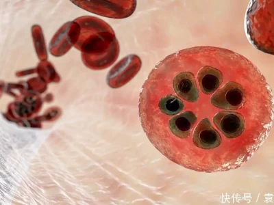 血脂高的人能吃豆腐吗？提醒：远离高血脂，4种食物才该少吃日本武烈天皇：9岁上位，暴虐且凶狠，以折磨人为乐，18岁暴毙