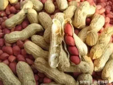花生是骨质疏松的加速剂吗？医生：不想骨骼成“蜂窝”，少吃3素中国第一“裸模”汤加丽：走红后丈夫离婚，父亲说丢脸，后来怎样
