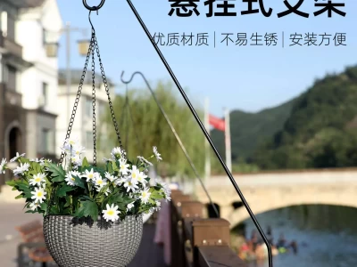 露台装修新思路，4 种植物打造绿色空间！