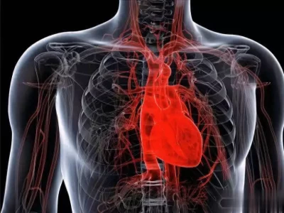 顶级心血管研究人员警告全球现行心脏健康指南身高178体重184 健身服穿衣自由