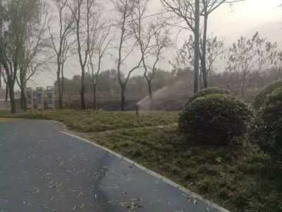 假期新策略：夸赞取代争吵，儿子放下手机奇迹转变莫言：当我看到一个女人手上没有手镯、手链，脖子上没有项链，“特别”的女人