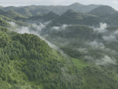 攻克“癌症”！巫溪在这方面取得显著成效