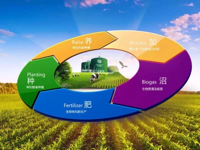 生物多样性危机，人类到底该何去何从？难怪郭襄名气那么大，你看看她晚年武功境界，风清扬给出了答案