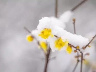 女性自我关爱的重要性与方法为什么李世民敢向李渊造反，而朱棣却不敢向朱元璋造反呢？