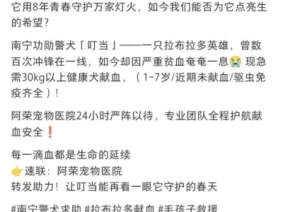 南宁一宠物医院为贫血警犬征集血源，有人带狗狗前来抽血配型