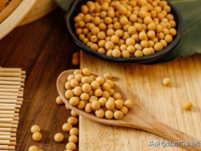 酵母蛋白，优质蛋白新选择