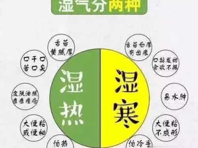 三伏天饮食禁忌大揭秘，看完少走弯路火影：当美女忍者们的头发变成银发，小南更加冷艳，纲手增添妩媚