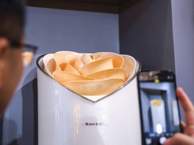 董明珠回应玫瑰空调争议：可能不那么美，但是世界首台