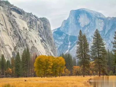 自我关爱的艺术：如何做到时刻照顾好自己台湾统一方式可能出人意料:77年前毛主席的奇谋，是最佳解决方案