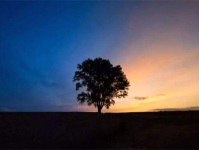 【健康科普】正念呼吸练习