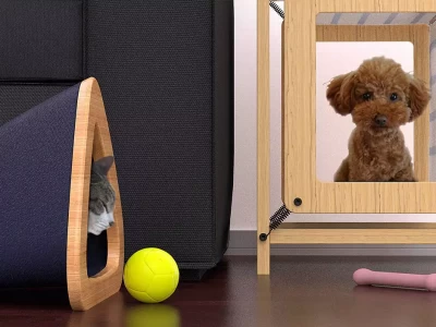 快收藏！给宠物高质量陪伴的3个秘诀重庆文科状元何川洋，高考659分被北大拒绝：决不能录取这种学生