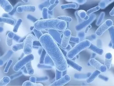 益生菌能否拯救胃食管反流？正反观点大PK！被问儿子是否会将郭晶晶，写进作文中时，霍启刚的回答太接地气